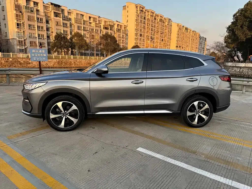 BYD PLUS New Energy 2023 из CN, фото 2