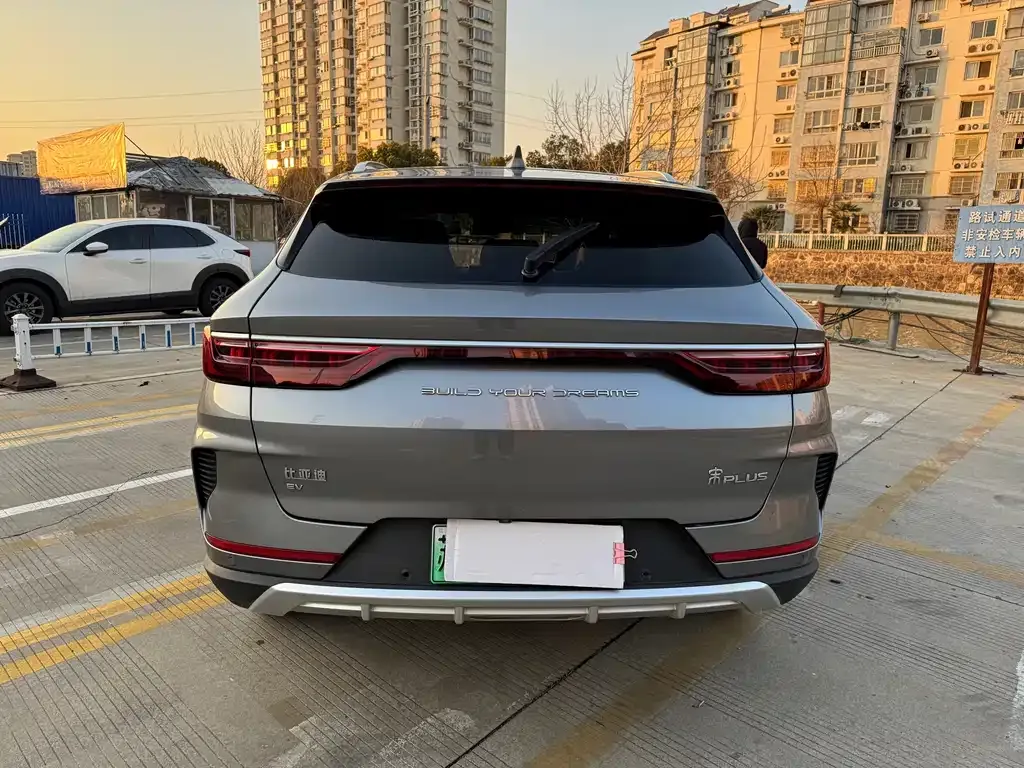 BYD PLUS New Energy 2023 из CN, фото 3