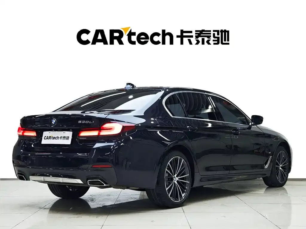 BMW 5 Series 2023 из CN, фото 9