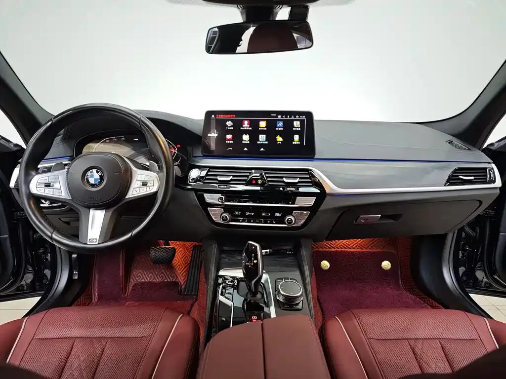 BMW 5 Series 2023 из CN, фото 8