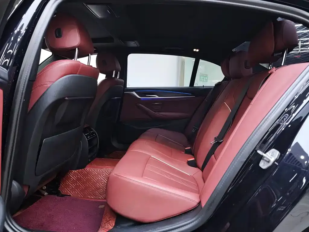 BMW 5 Series 2023 из CN, фото 10