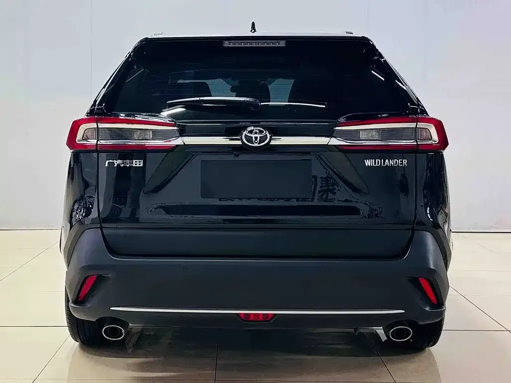 Toyota Wildlander 2024 из CN, фото 3