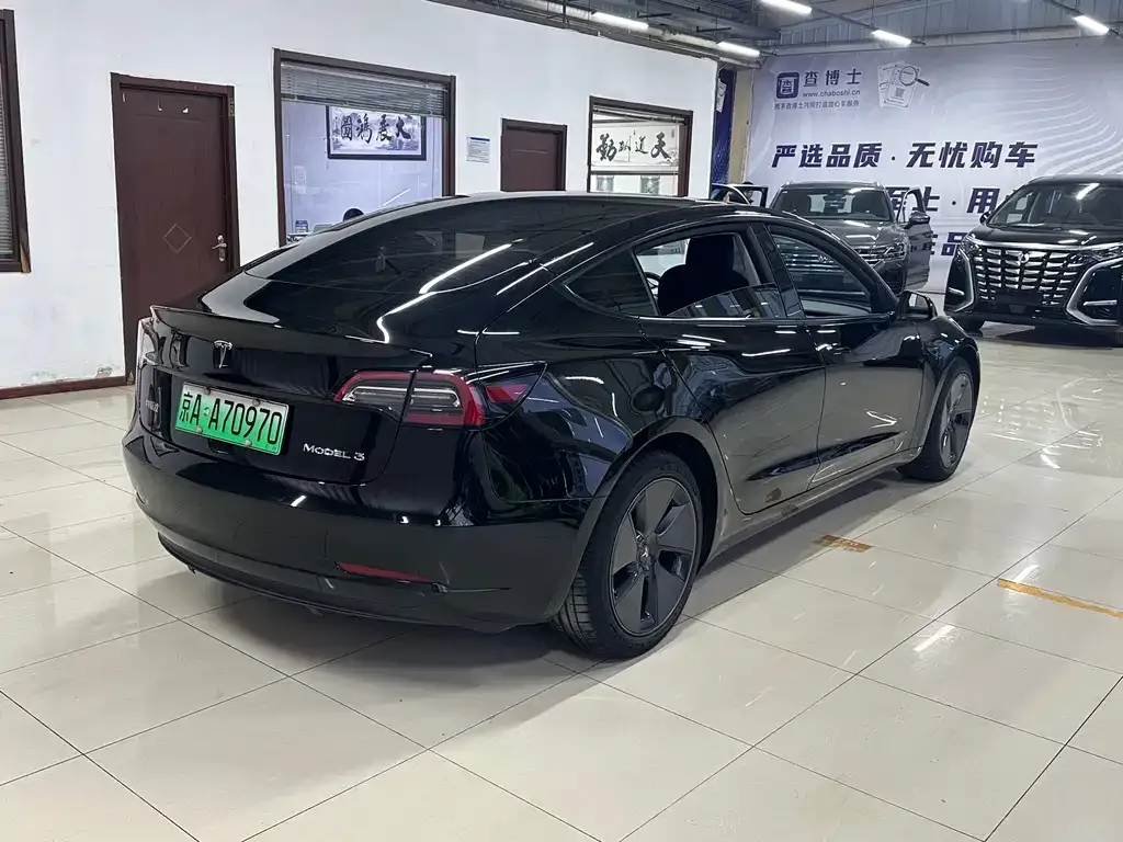 Tesla Model 3 2021 из CN, фото 6