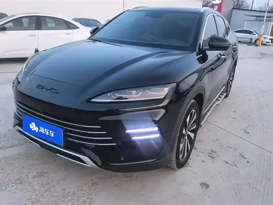 BYD PLUS New Energy 2024 из CN, фото 1