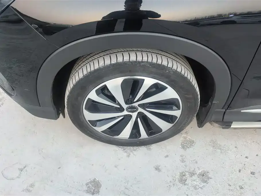 BYD PLUS New Energy 2024 из CN, фото 2