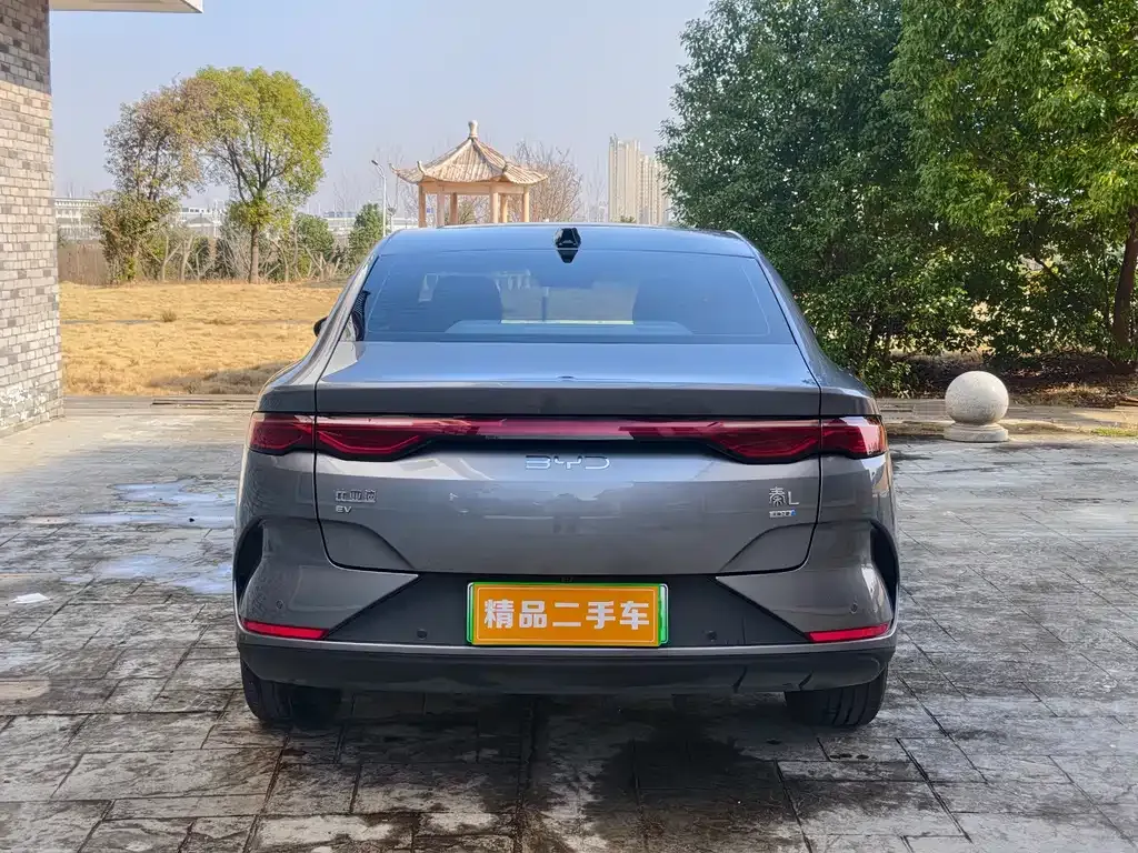 BYD Qin L 2025 из CN, фото 9