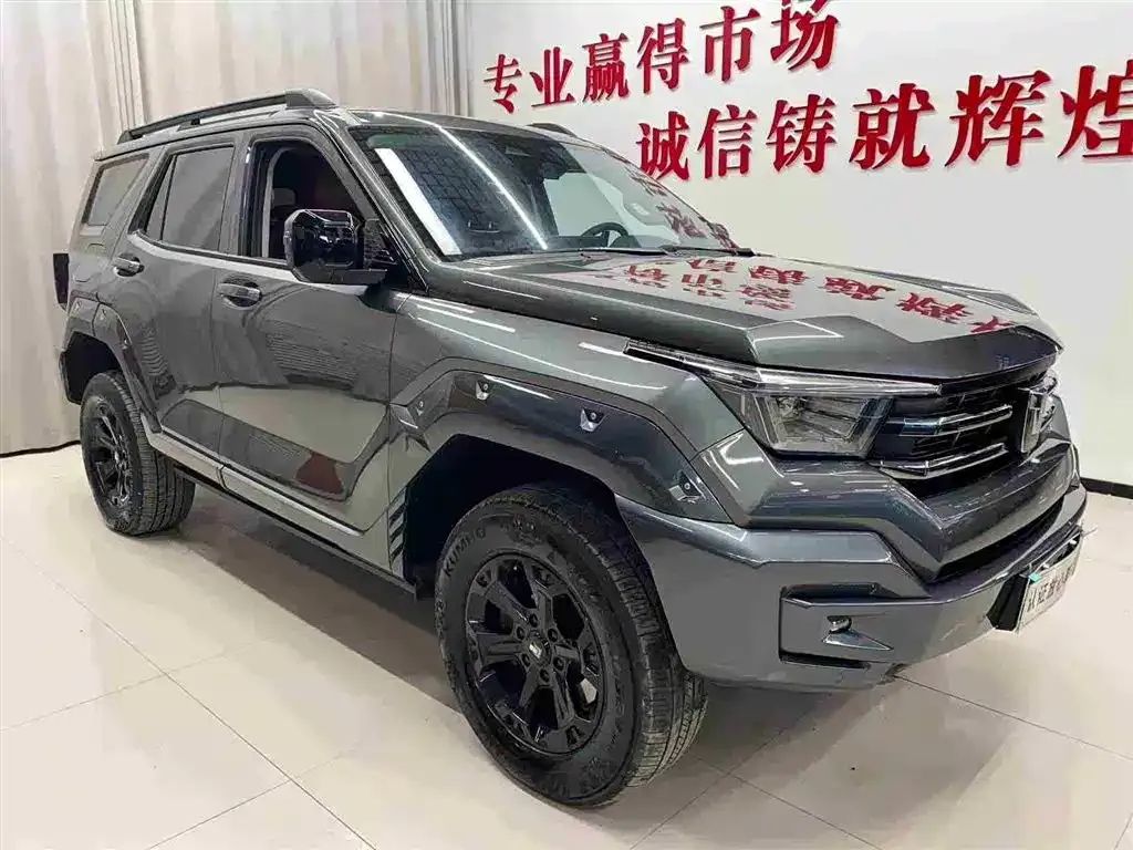 Tank 400 New Energy 2024 из CN, фото 4