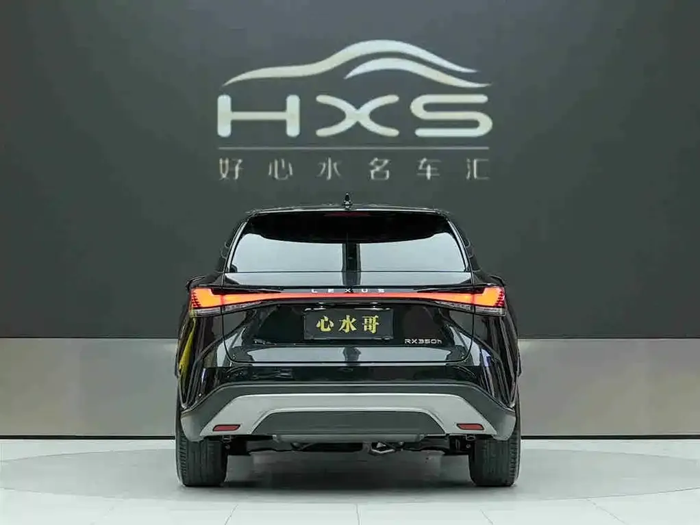 Lexus RX 2024 из CN, фото 8