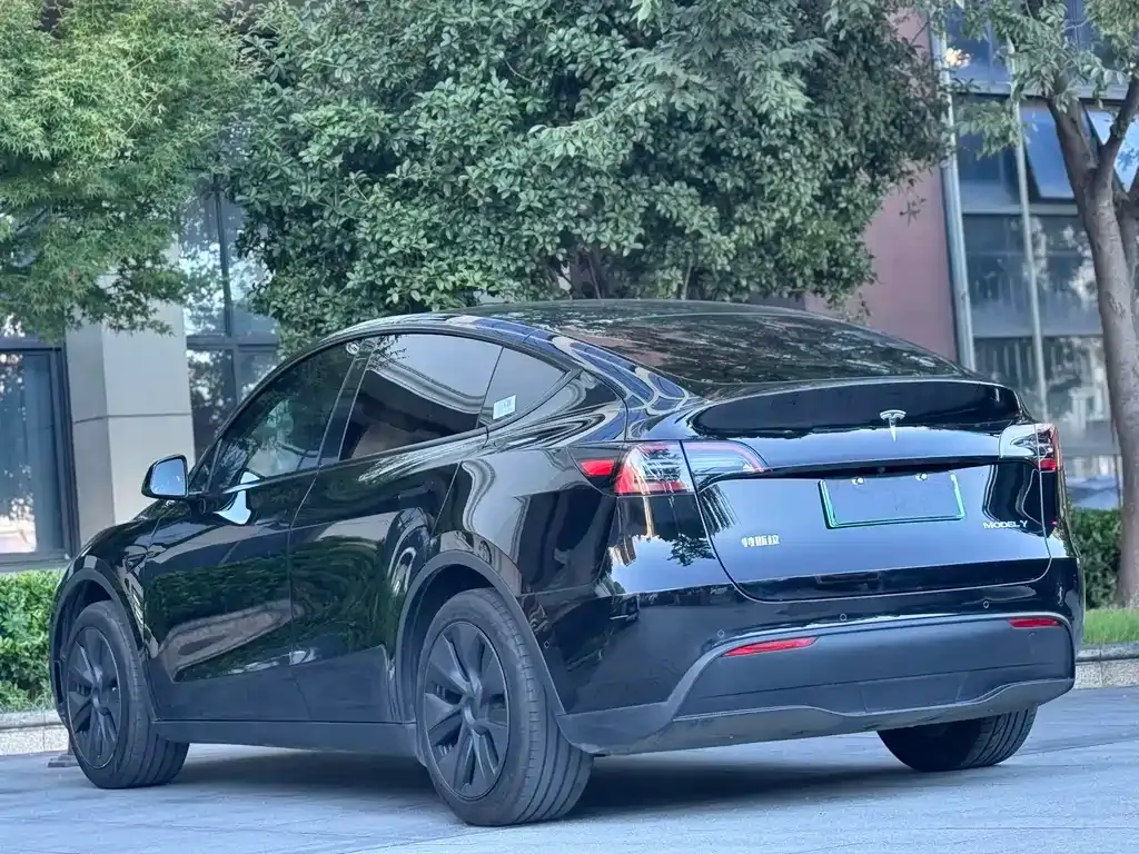 Tesla Model Y 2023 из CN, фото 5