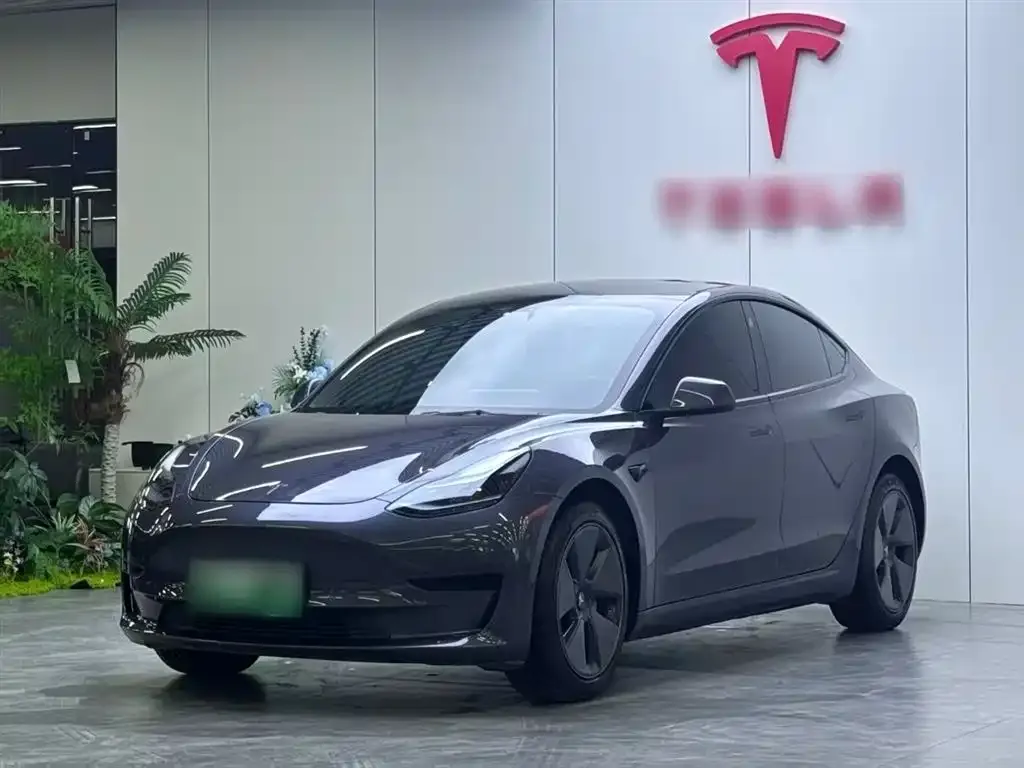 Tesla Model 3 2021 из CN, фото 1