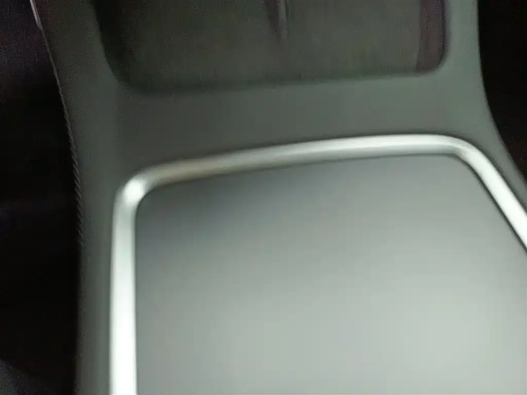 Tesla Model 3 2021 из CN, фото 4