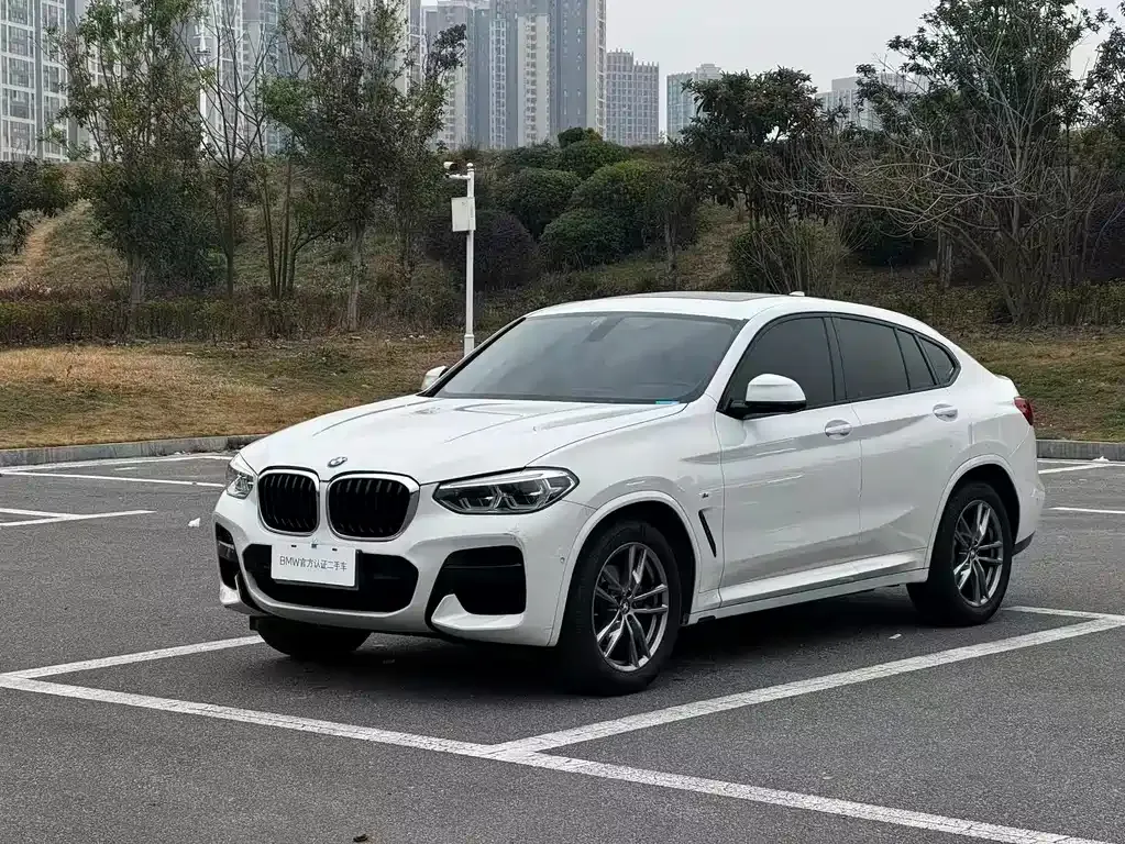 BMW X4 2021 из CN, фото 1