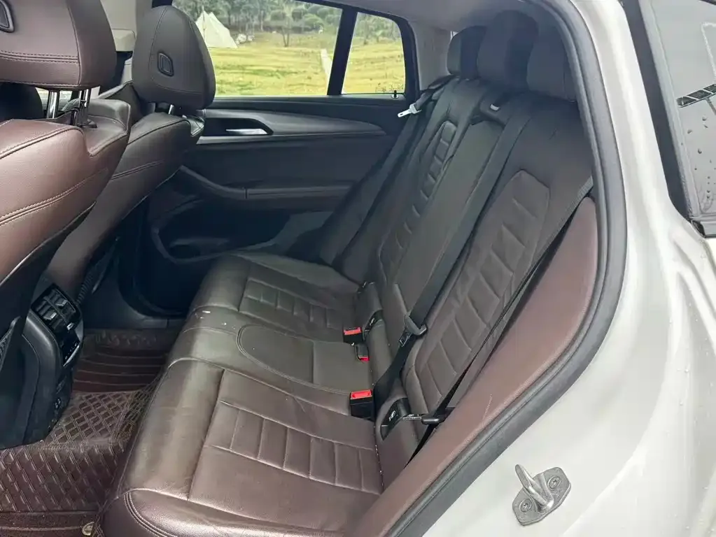 BMW X4 2021 из CN, фото 3