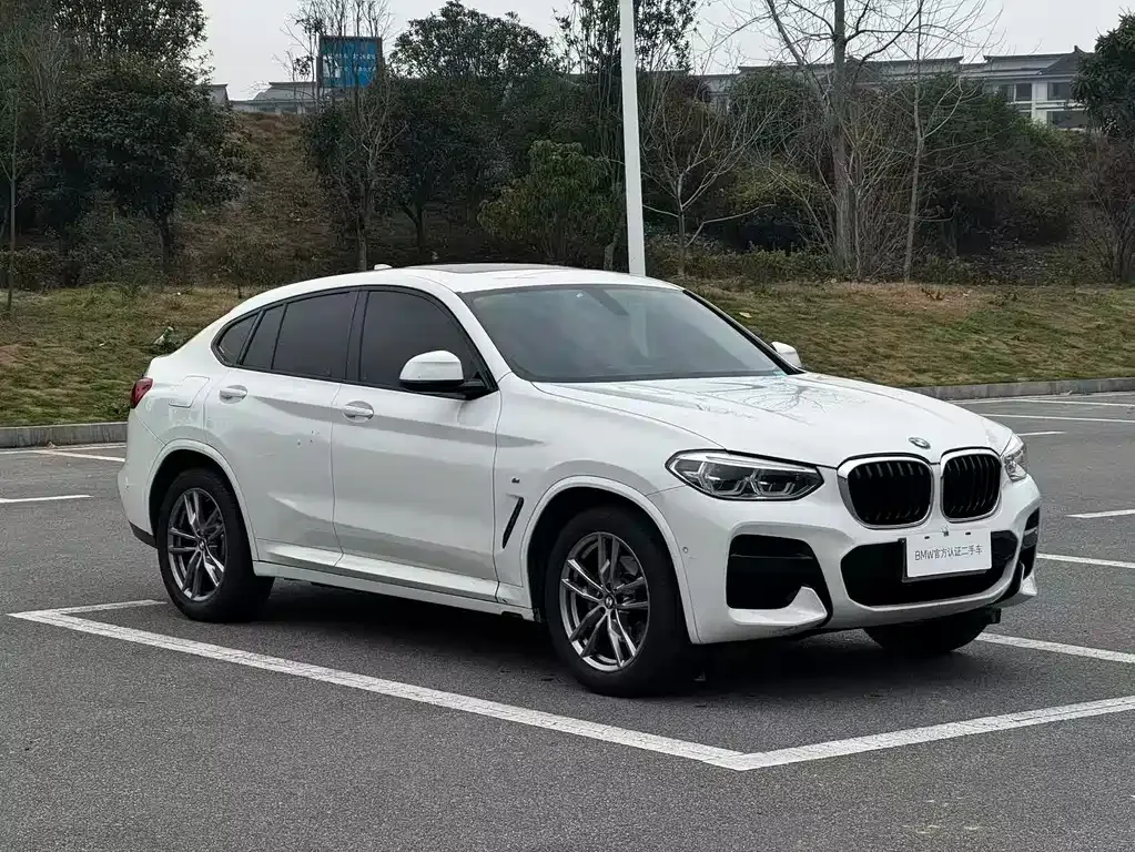 BMW X4 2021 из CN, фото 9