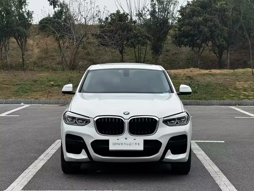 BMW X4 2021 из CN, фото 8