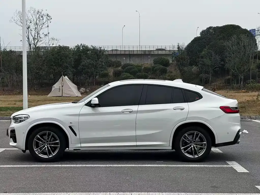BMW X4 2021 из CN, фото 6