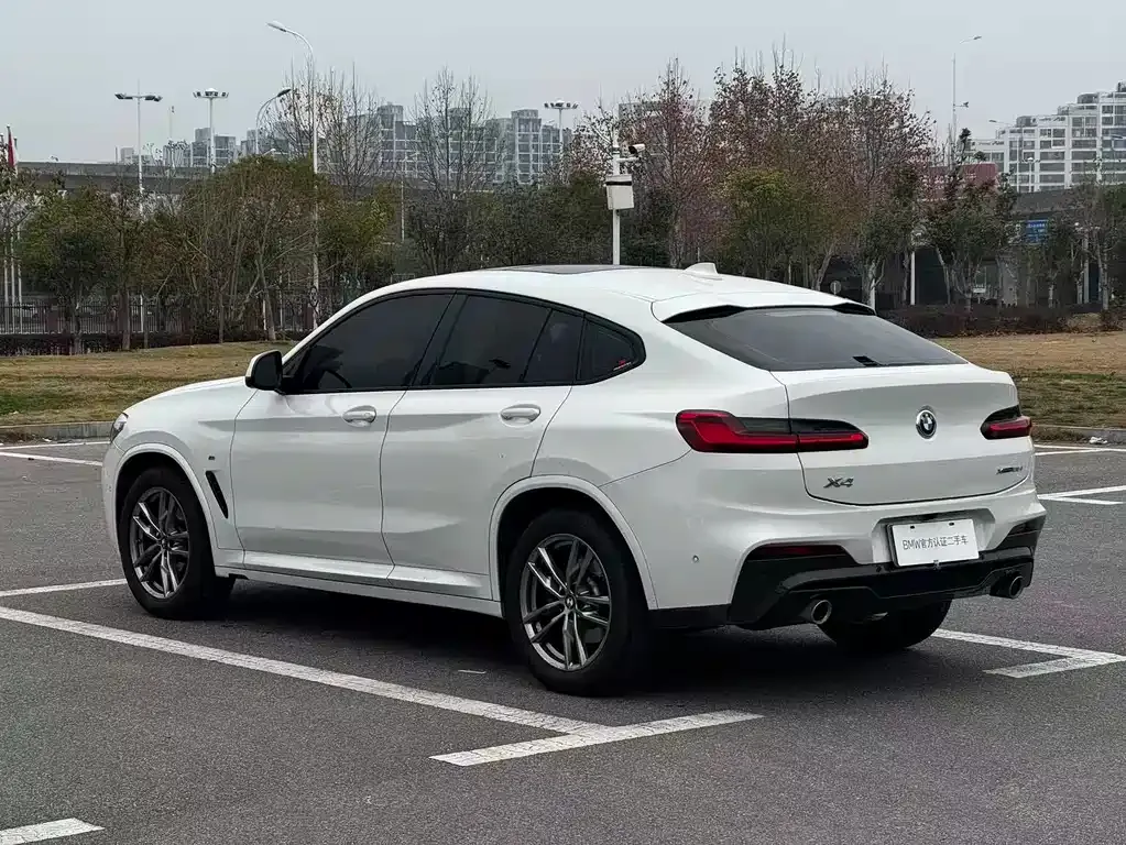 BMW X4 2021 из CN, фото 5