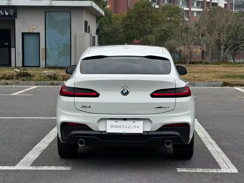 BMW X4 2021 из CN, фото 4