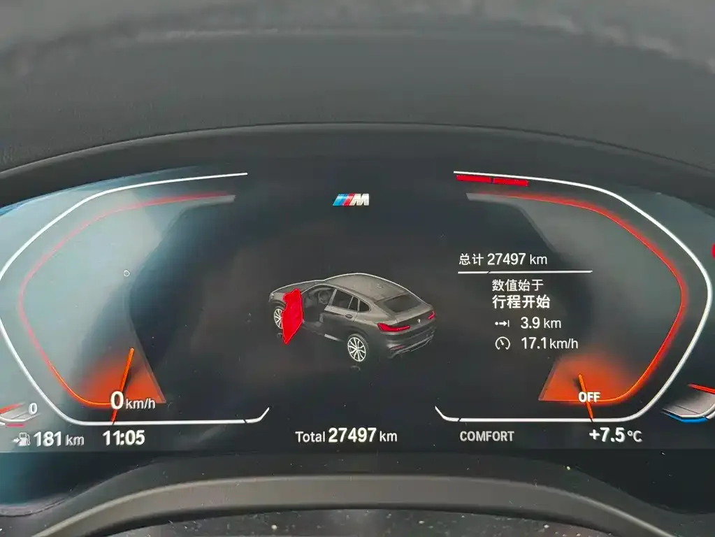 BMW X4 2021 из CN, фото 2
