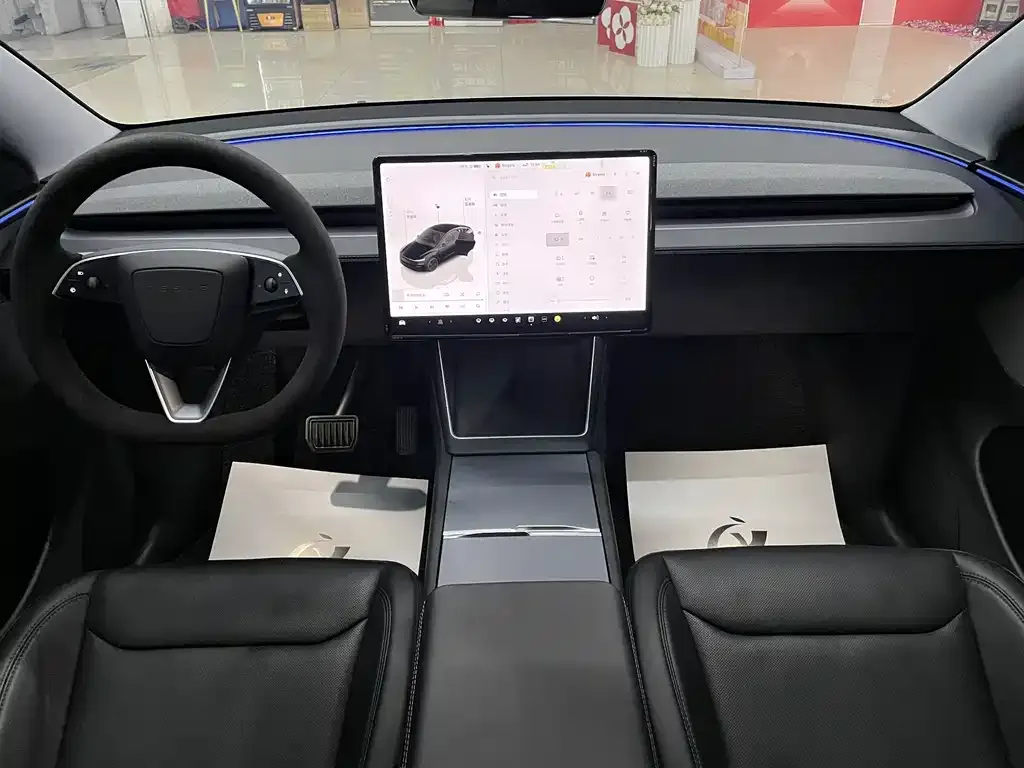 Tesla Model Y 2025 из CN, фото 3