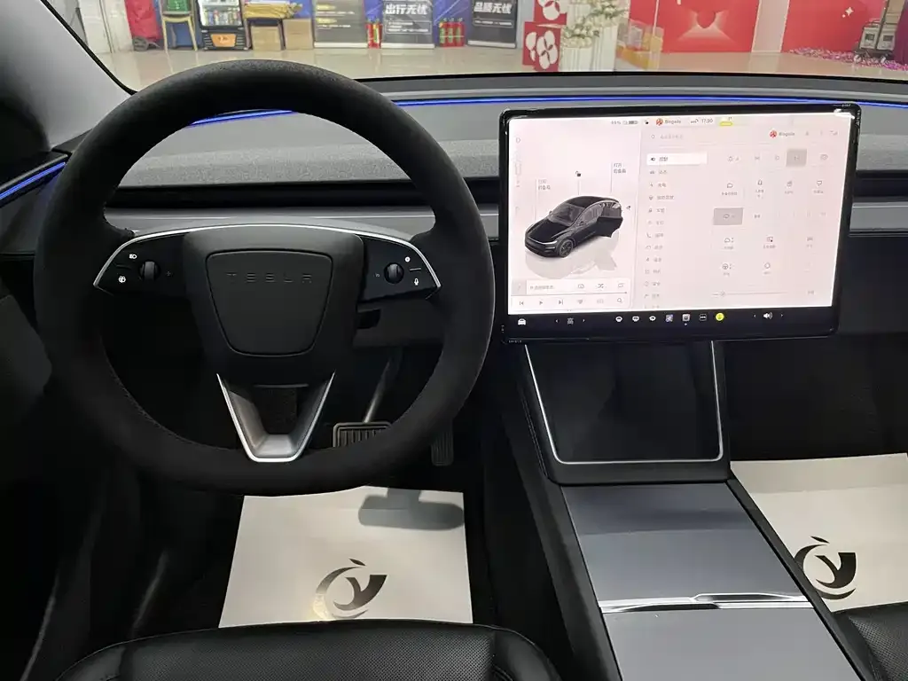 Tesla Model Y 2025 из CN, фото 6