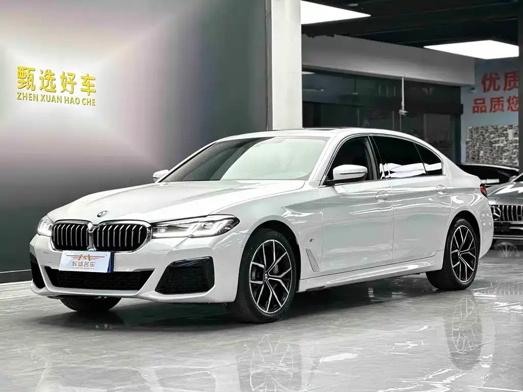 BMW 5 Series 2022 из CN, фото 1