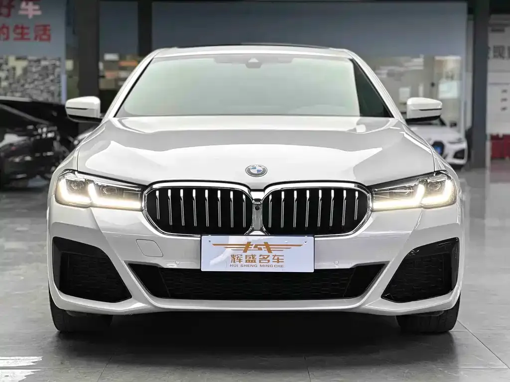 BMW 5 Series 2022 из CN, фото 3