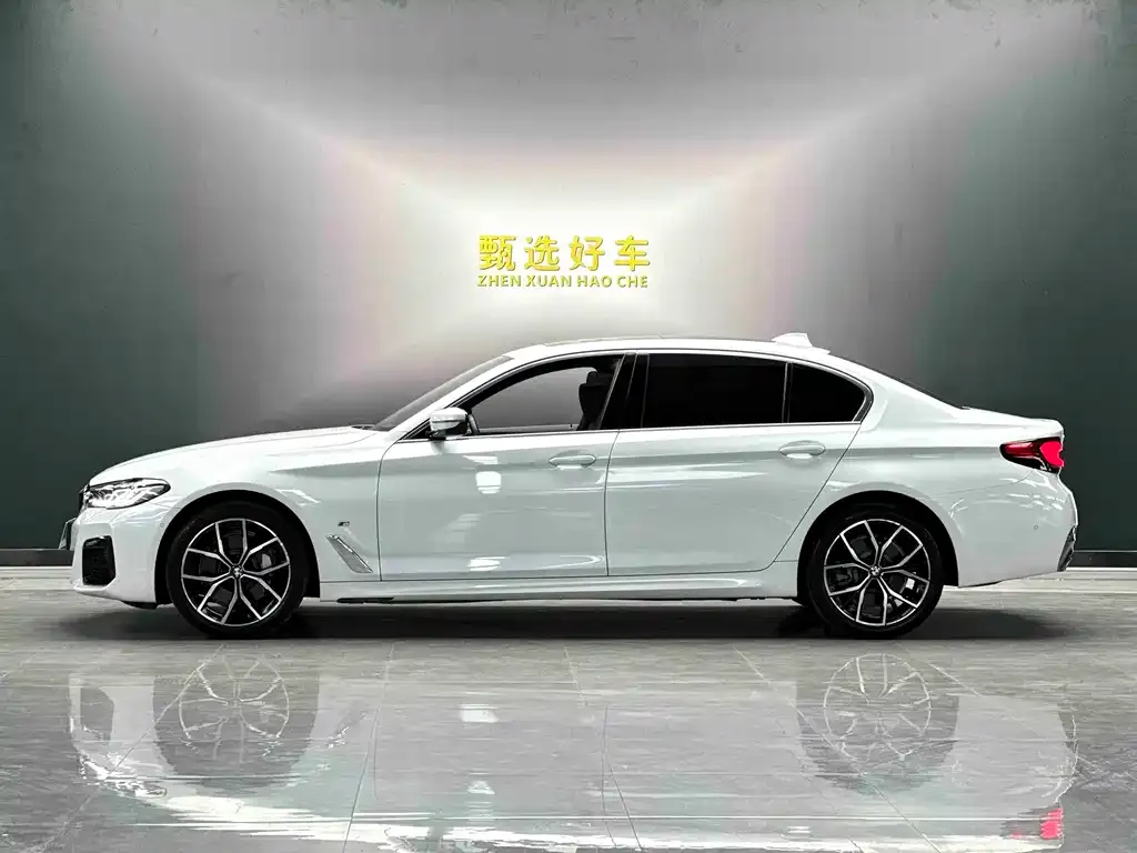 BMW 5 Series 2022 из CN, фото 7
