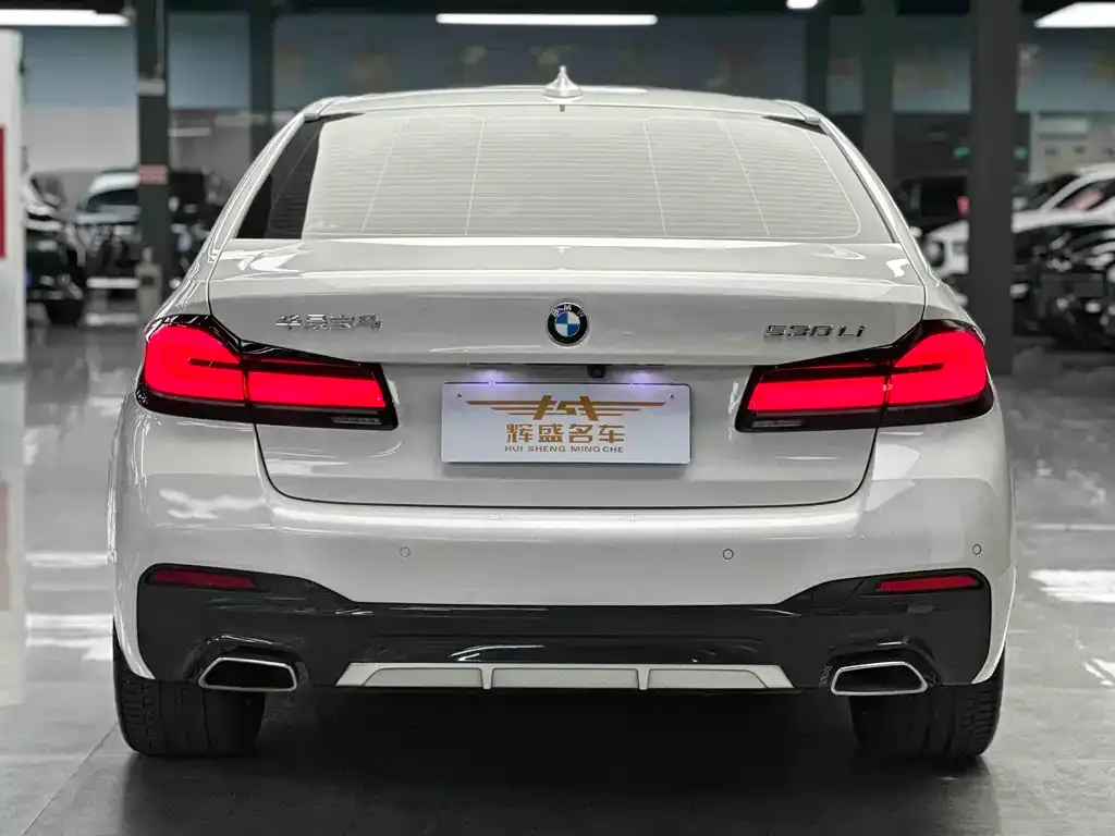 BMW 5 Series 2022 из CN, фото 6