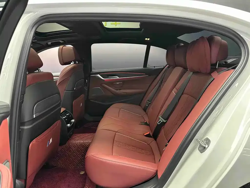 BMW 5 Series 2022 из CN, фото 5