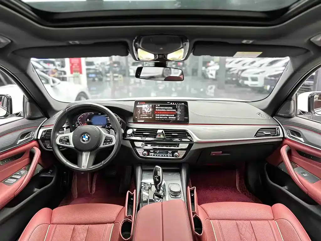 BMW 5 Series 2022 из CN, фото 8