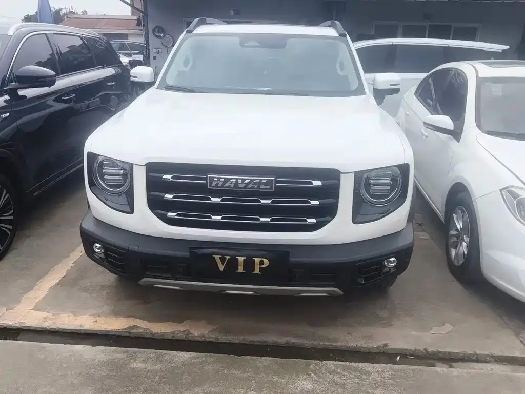 Haval Big Dog 2022 из CN, фото 10
