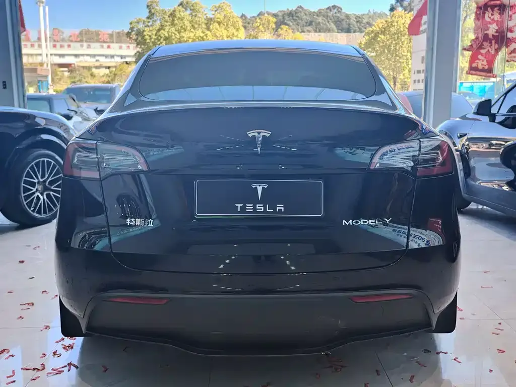 Tesla Model Y 2023 из CN, фото 6