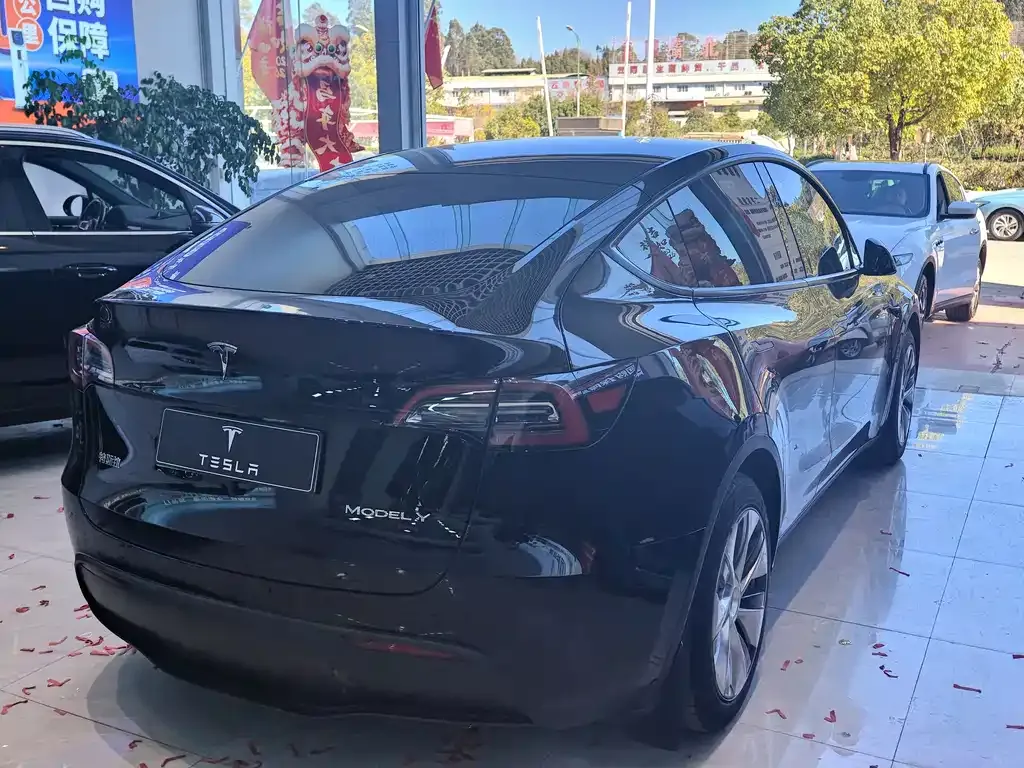 Tesla Model Y 2023 из CN, фото 8
