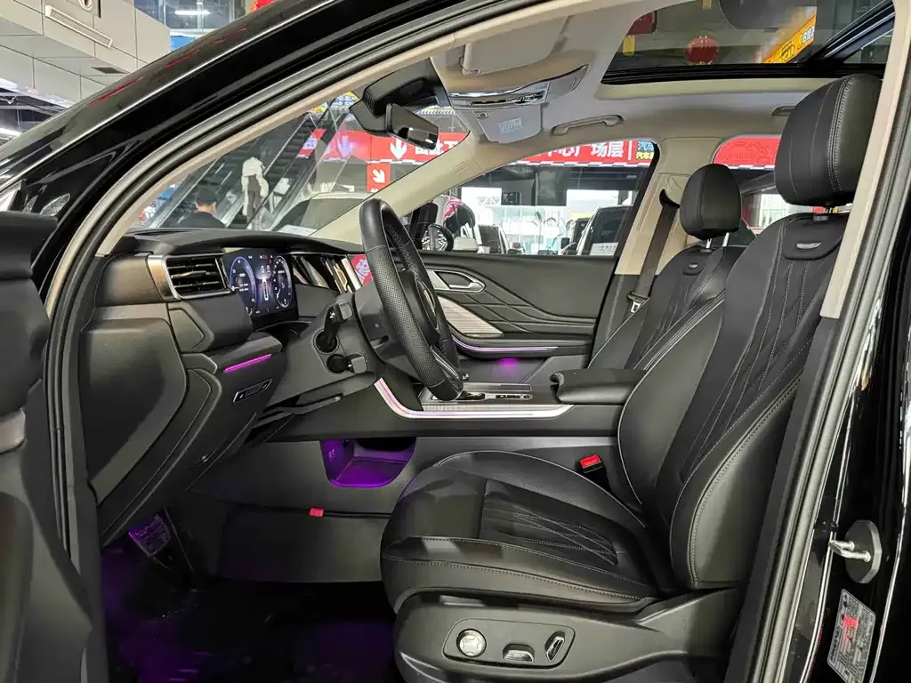 Hongqi HS7 PHEV 2024 из CN, фото 10