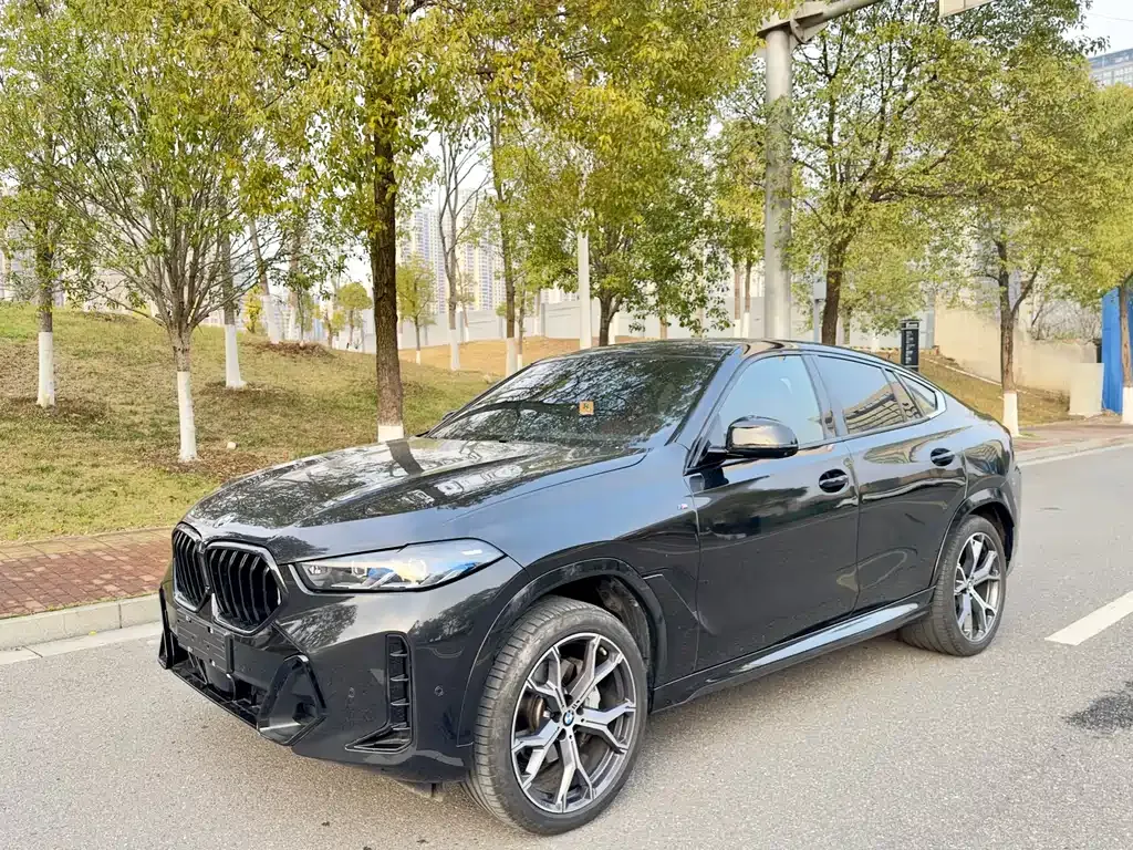 BMW X6 2024 из CN, фото 1