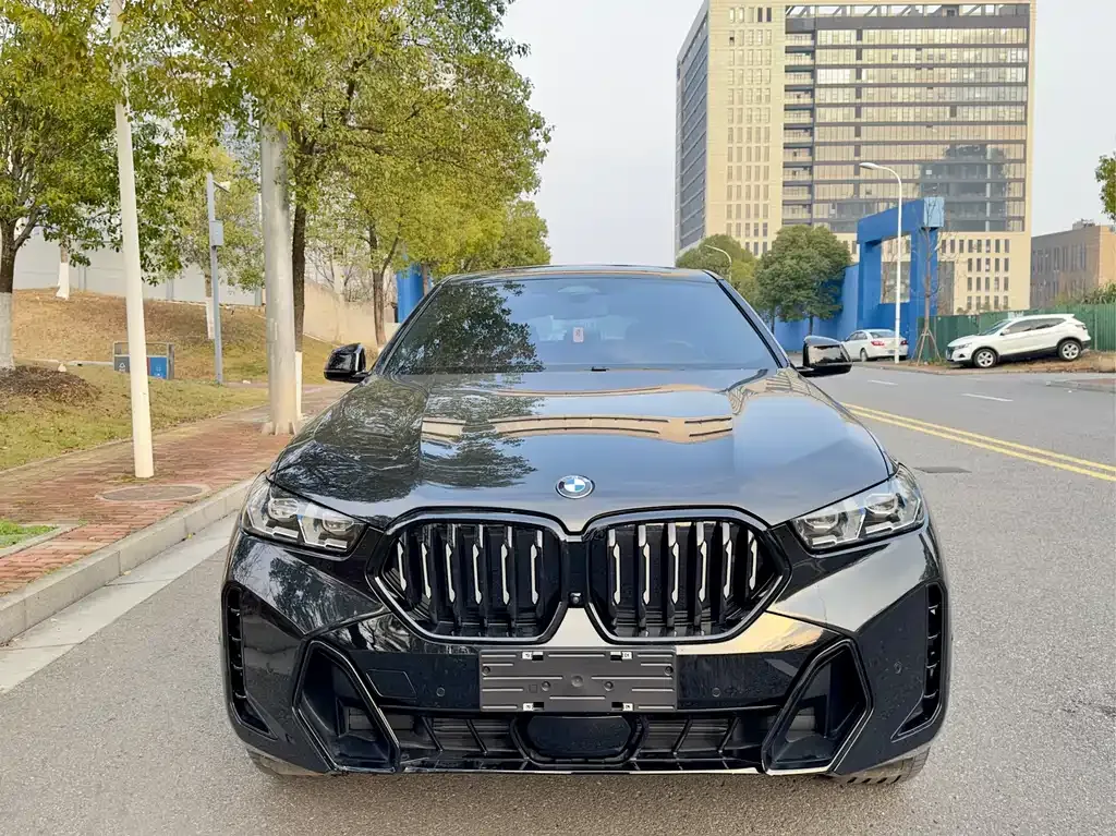 BMW X6 2024 из CN, фото 9