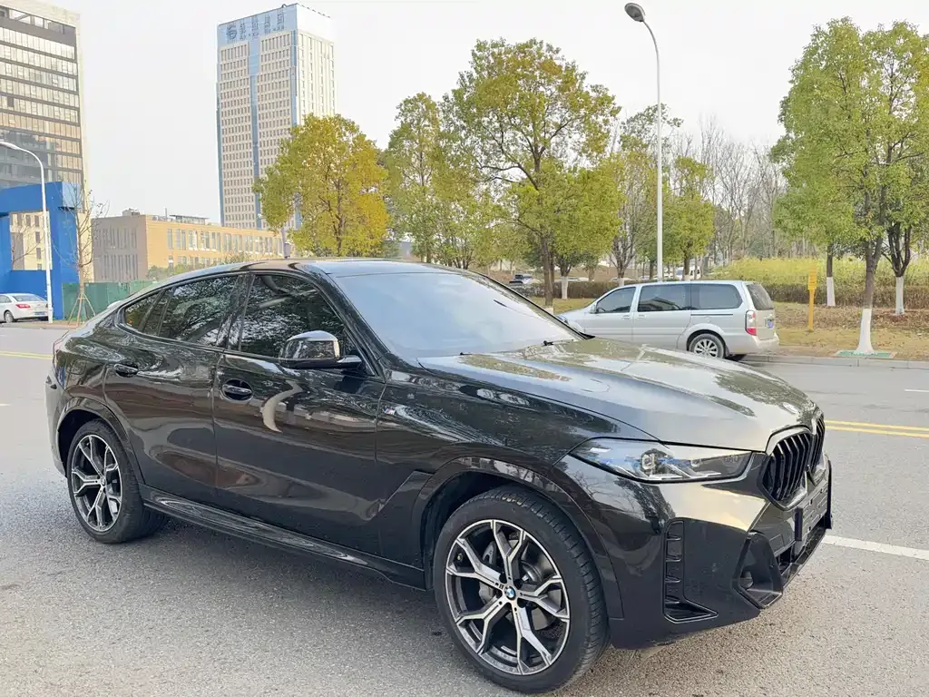 BMW X6 2024 из CN, фото 6