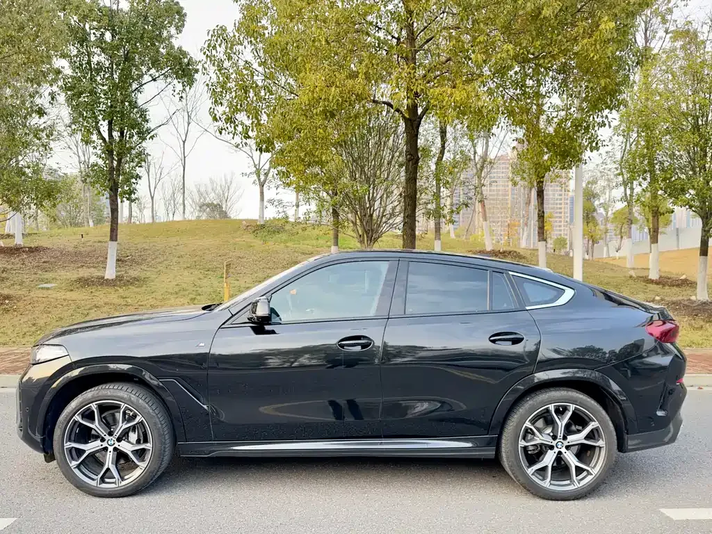 BMW X6 2024 из CN, фото 7