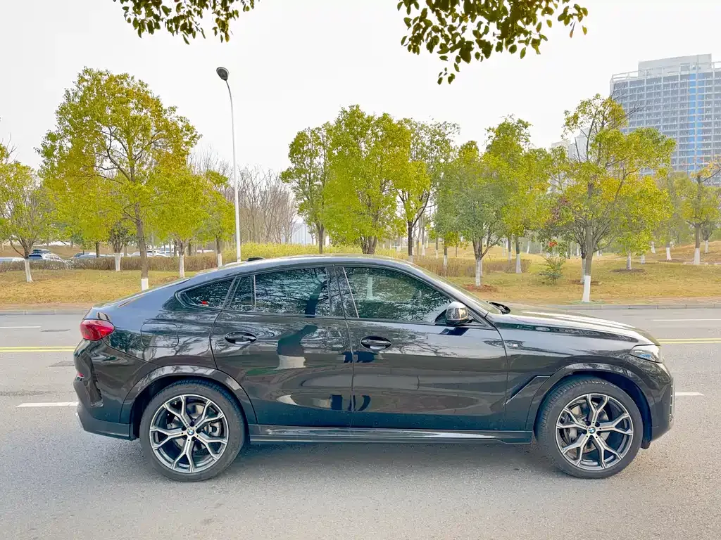 BMW X6 2024 из CN, фото 8