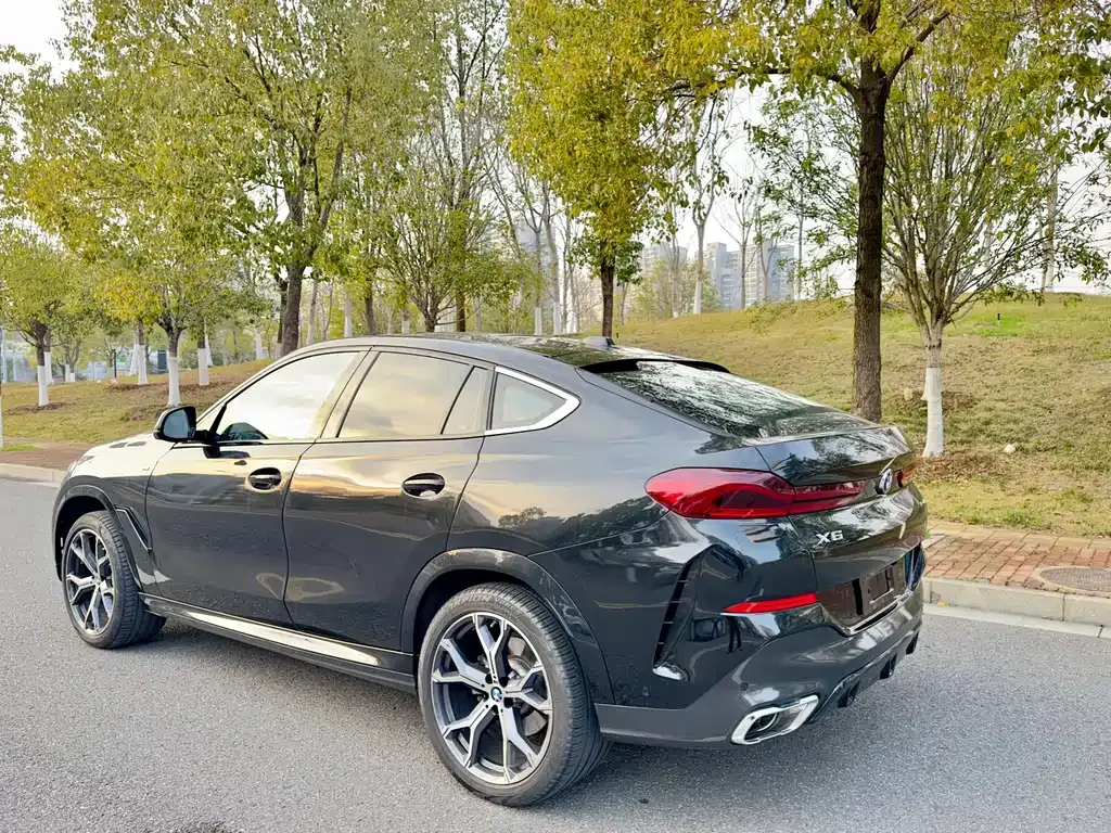 BMW X6 2024 из CN, фото 10