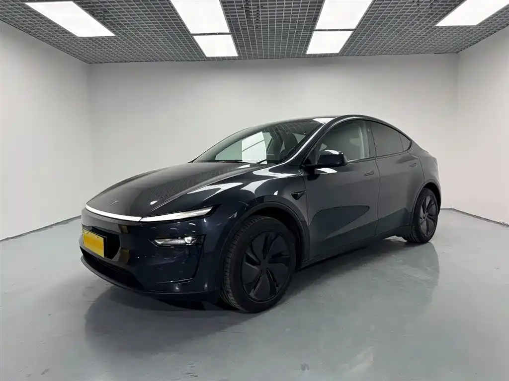 Tesla Model Y 2025 из CN, фото 1