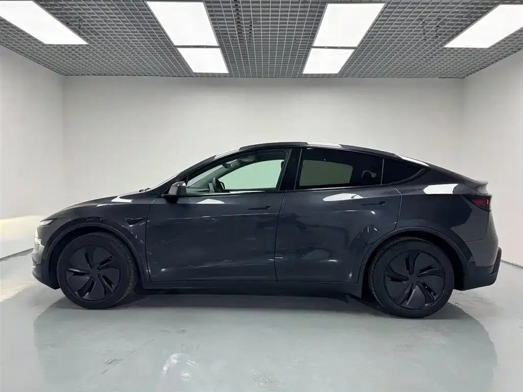 Tesla Model Y 2025 из CN, фото 8