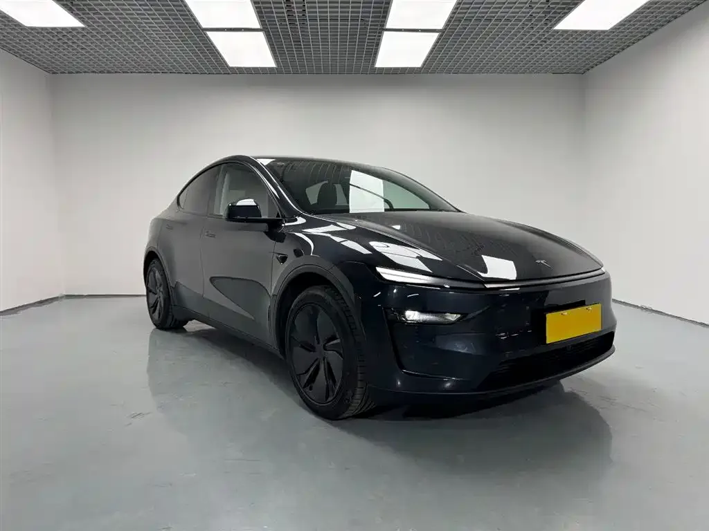 Tesla Model Y 2025 из CN, фото 6