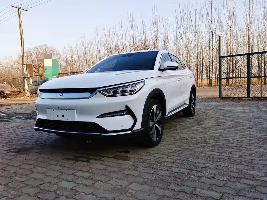 BYD PLUS New Energy 2021 из CN, фото 1