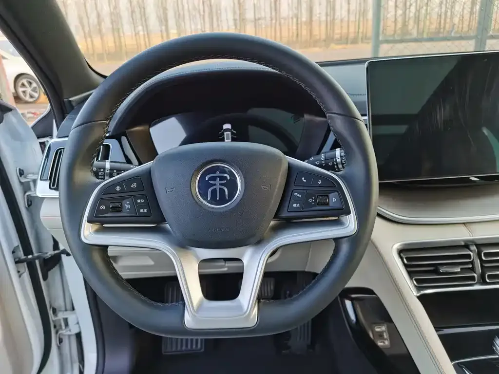BYD PLUS New Energy 2021 из CN, фото 2