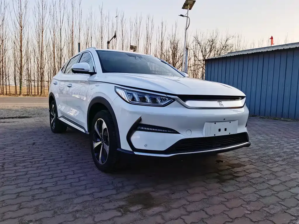 BYD PLUS New Energy 2021 из CN, фото 8