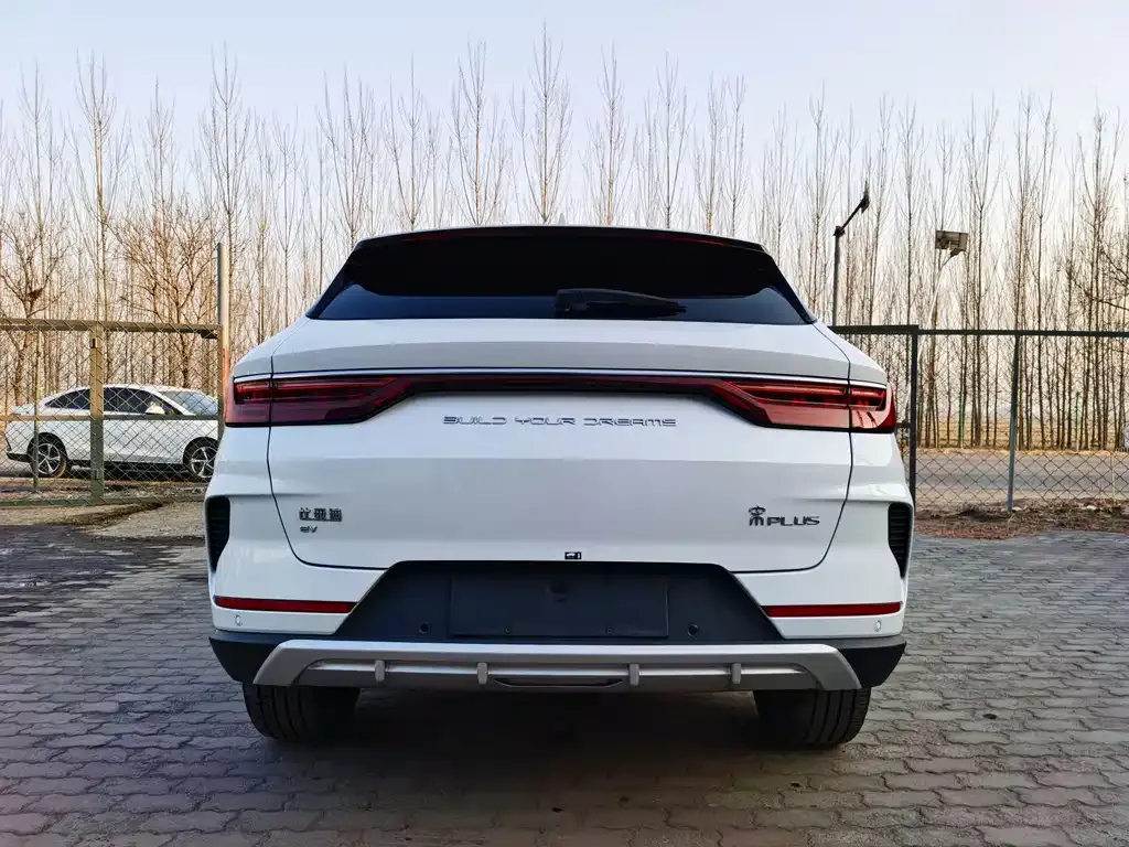 BYD PLUS New Energy 2021 из CN, фото 6