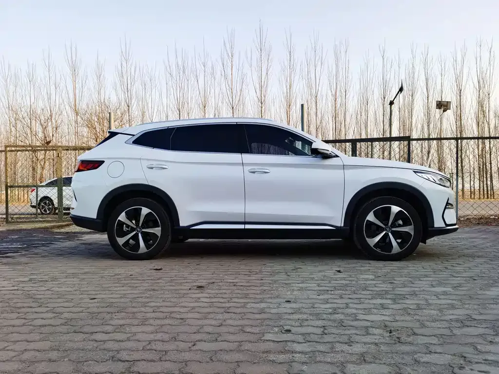 BYD PLUS New Energy 2021 из CN, фото 5