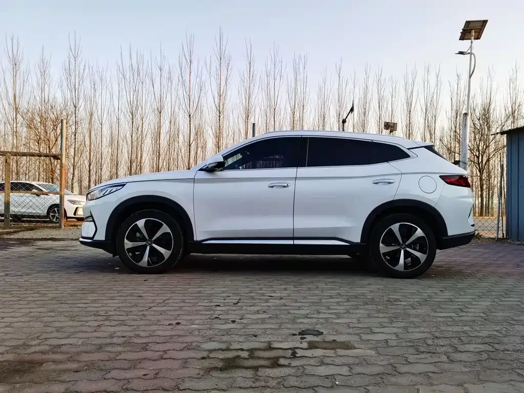 BYD PLUS New Energy 2021 из CN, фото 10